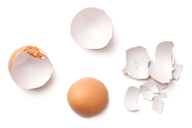 Egg Shell Isolated on White Background Egg shell isolated on white background. Top view eggshell stock pictures, royalty-free photos & images