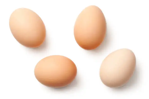 Photo of Eggs Isolated on White Background