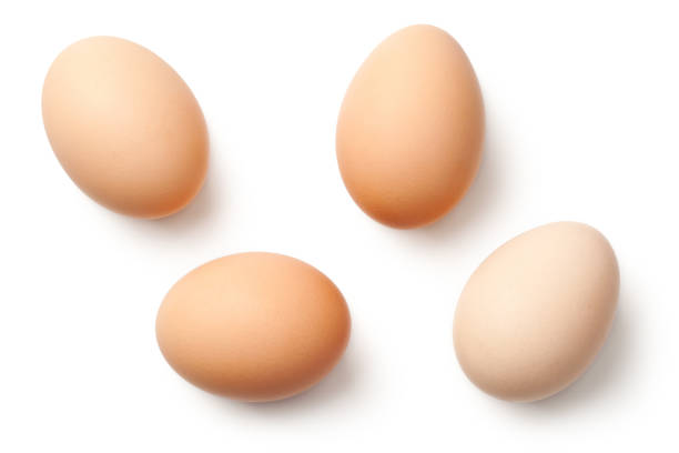 яйца, изолированные на белом фоне - яйцо животного стоковые фото и изображения
