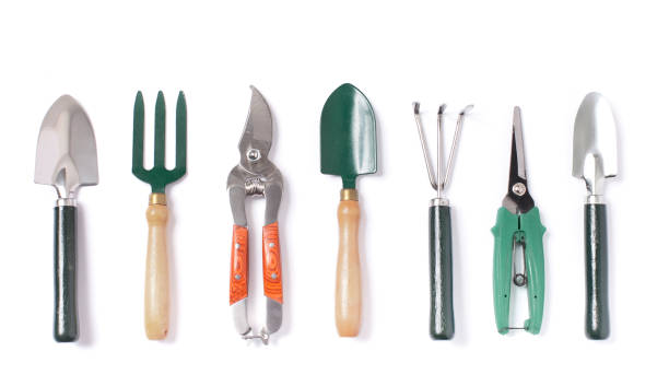 Indoor set of gardening tools isolated
