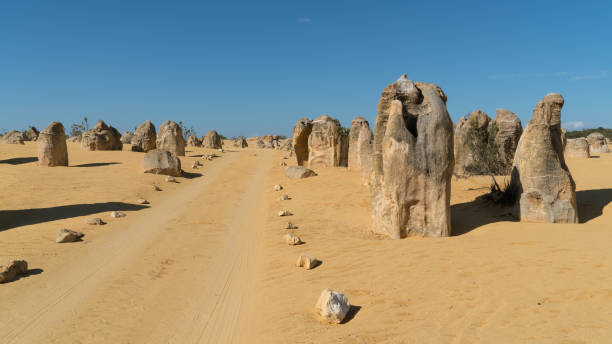 istock Nambung National Park, Western Australia 948654540