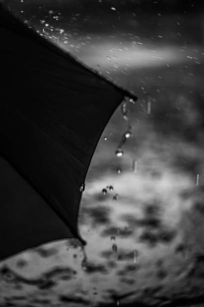 istock Lifestyle Photos 948655374