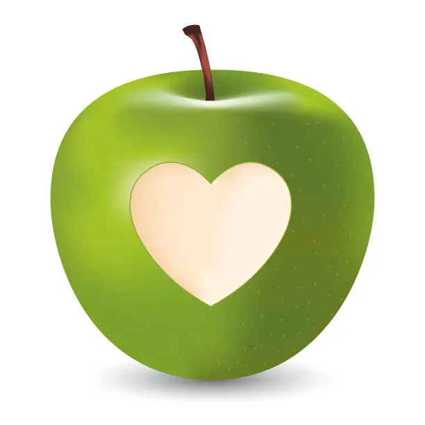 Vector illustration of Vector green apple with heart symbol