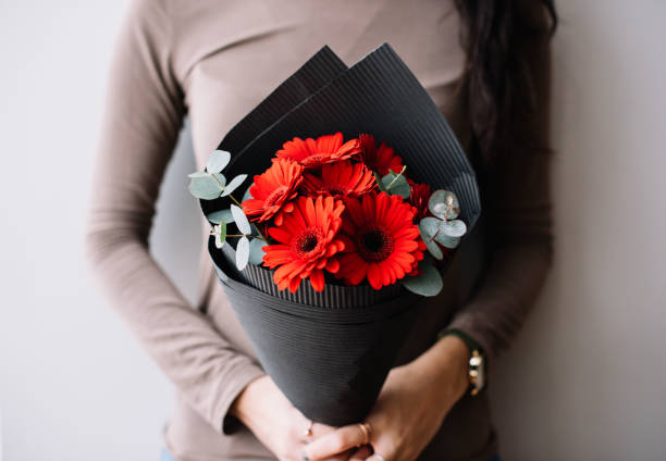 Very nice young woman holding a fresh blossoming flower bouquet of vivid crimson red gerbera mini and eucalyptus on the grey wall background stock photo