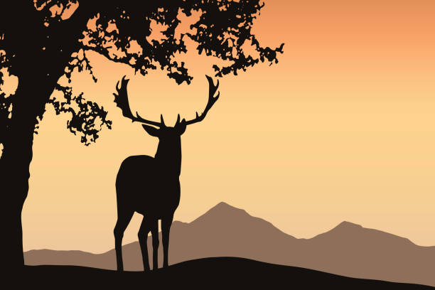 istock Deer with antler standing under a deciduous tree in a mountain landscape under an orange sky - vector with space for your text 948668378