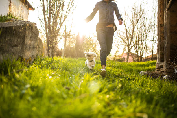 istock Enjoying sunset with my dog 948668466