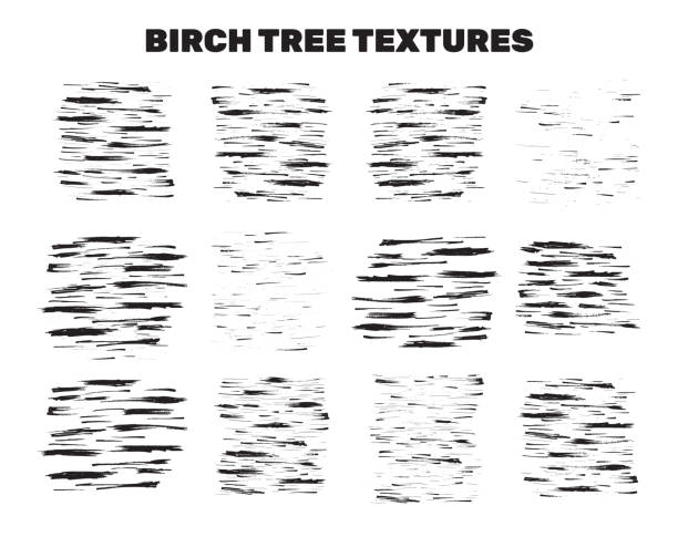 ilustrações de stock, clip art, desenhos animados e ícones de birch tree bark stains, material collection - birch bark birch tree textured