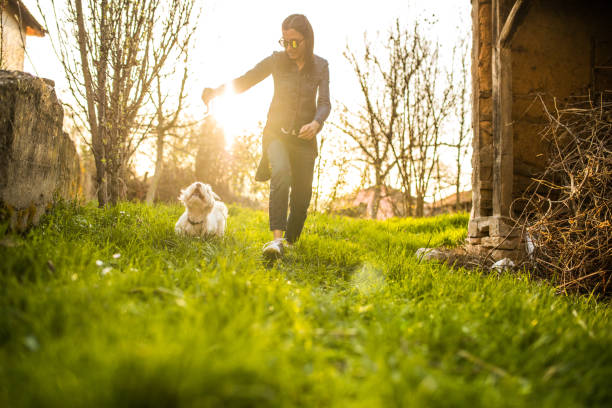istock Lovely day with my pet 948675724