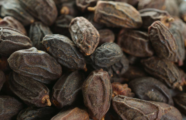 istock Dried NEEM Fruit with SEEDS, NIMODI (Azadirachta indica). 948684060