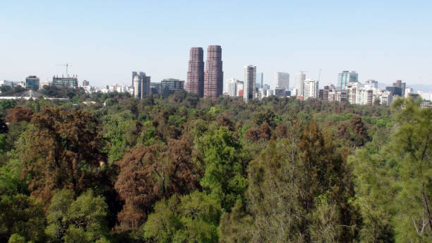 istock Mexico City Skyscrapers View From Chapultepec Forest. Mexico 948686570
