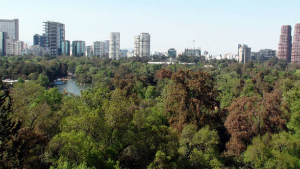 istock Mexico City Cityscape Scene From Chapultepec Lake In Mexico 948686962