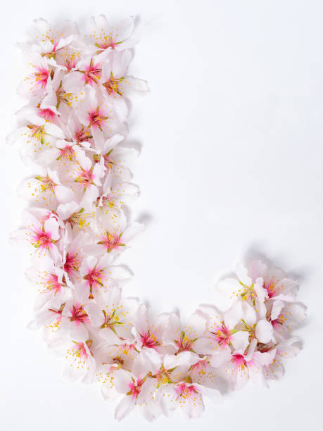 istock Letters made of pink spring flowers 948686996
