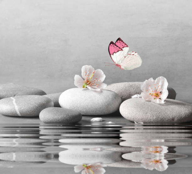 istock flower and stone zen spa on water surface and grey background 948687034