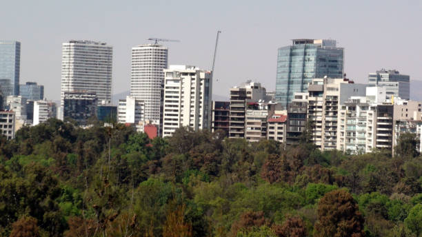 istock Scene Of Mexico City Skyline From Chapultepec Forest In Mexico 948687462