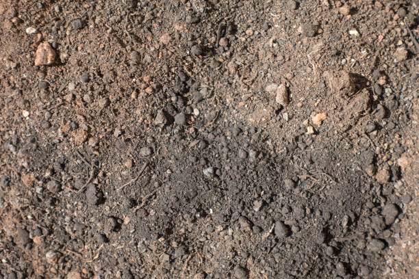 istock A dark ground background of a brown color 948687642