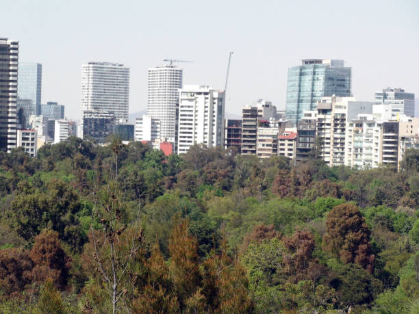 istock Mexico City Cityscape Scene From Chapultepec Forest In Mexico 948687690