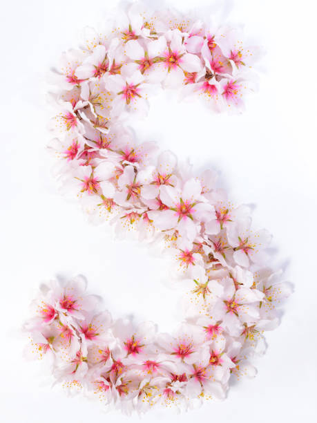 istock Letters made of pink spring flowers 948687802