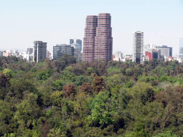 istock Scene Of Mexico City Cityscape From Chapultepec Forest. Mexico 948688416