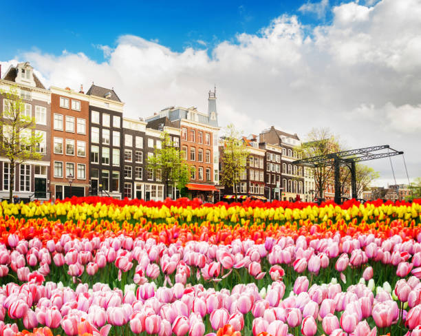 istock Houses of Amstardam, Netherlands 948694510