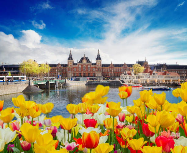 cityscape with central railway station and old town canal with tulips, Amsterdam, Holland