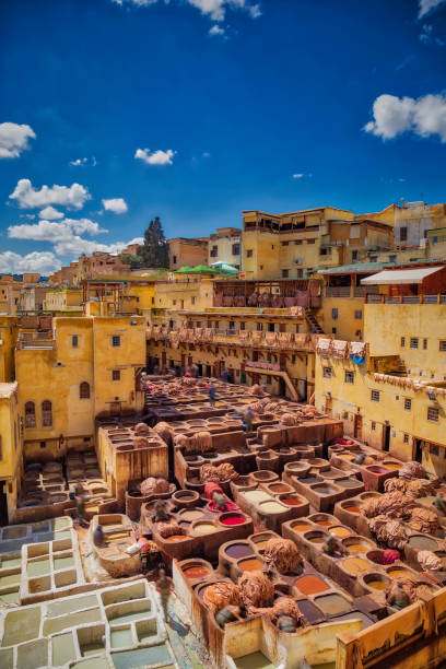 curtume de couro tradicional, fez (hdri) - moroccan tannery - fotografias e filmes do acervo