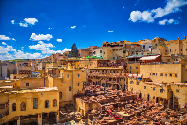 traditional leather tannery, Fez (HDRi)