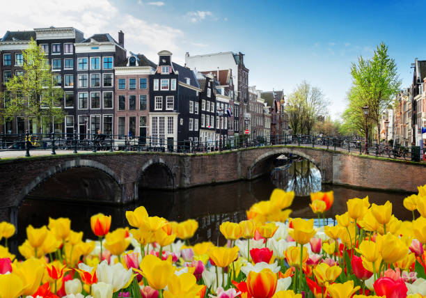 istock Houses of Amsterdam, Netherlands 948699264