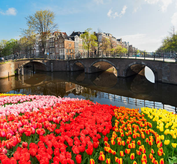 istock Houses of Amsterdam, Netherlands 948699376