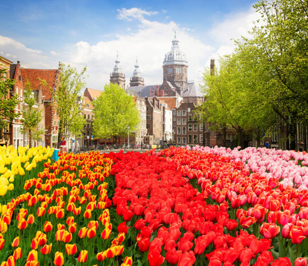 istock Church of St Nicholas , Amsterdam 948699484