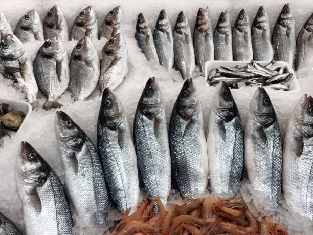 istock Fresh bonito for sale 948704760