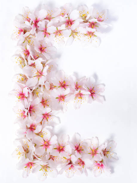istock Letters made of pink spring flowers 948705128