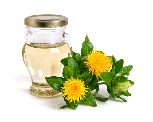 Safflower plant with oil in the bottle. Safflower plant with oil in the bottle. Isolated on white background. substitute for saffron stock pictures, royalty-free photos & images