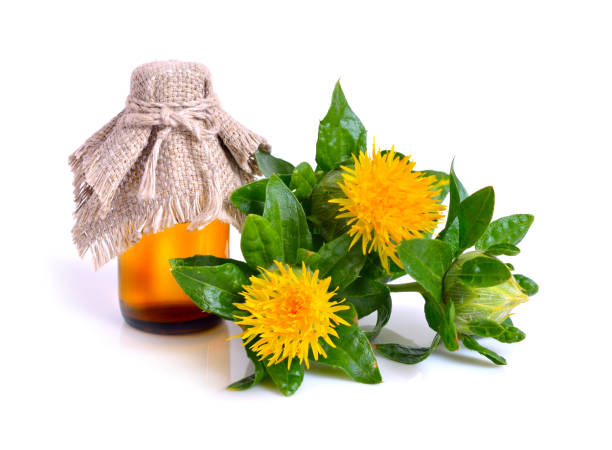 Safflower plant with oil in the bottle. Safflower plant with oil in the bottle. Isolated on white background. substitute for saffron stock pictures, royalty-free photos & images