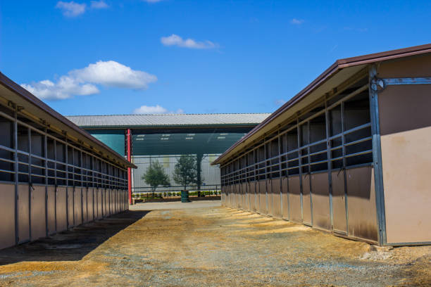 istock Horse Stalls Outside Equestrian Arena 948725932