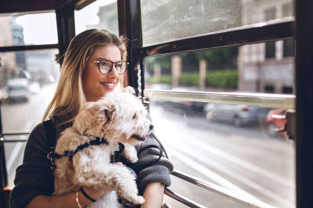 istock I taking my dog everywhere with me 948729150