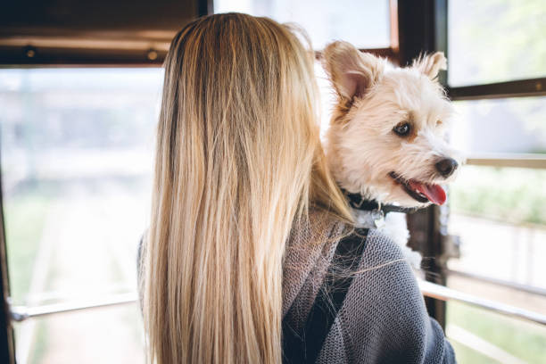 istock Woman holding her dog and looking through the window 948729290