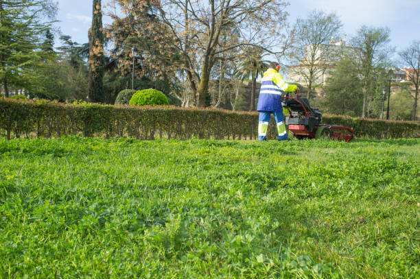 istock Gardener mowing the grass with engine powered mower at urban park 948729644
