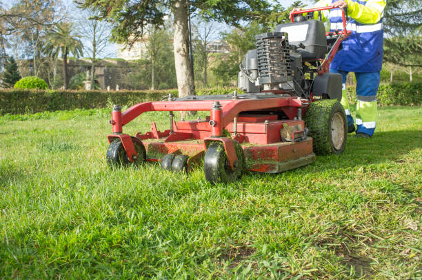istock Gardener mowing the grass with engine powered mower at urban park 948729652