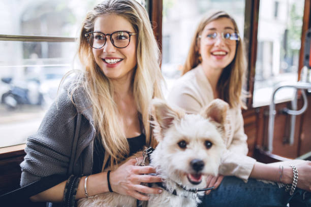 istock Two hipster friends traveling with little dog 948732610