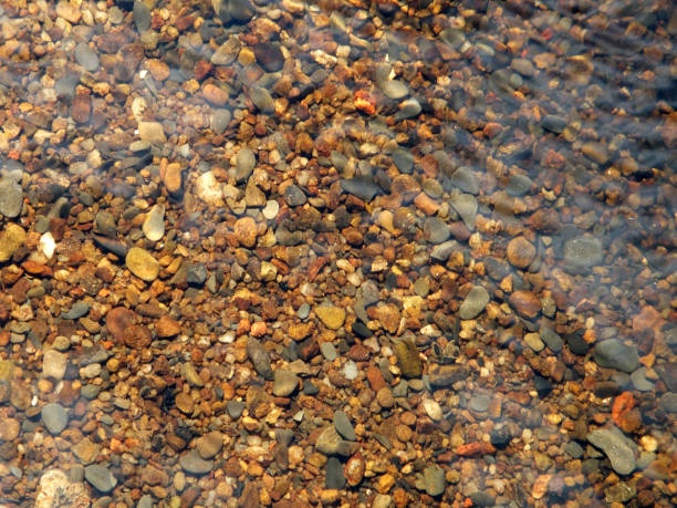 istock stones and pebbles on a river bed with flowing water and ripples 948734024