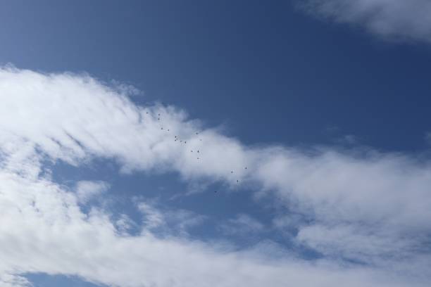 istock Cumulus and cirrus clouds in blue sky in rural setting 948736198