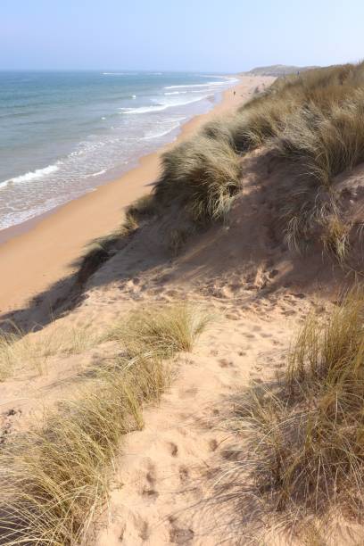 istock Sand, sea, waves and dunes on the coast 948736812