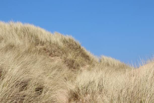 istock Sea, sand, dunes and waves by the beach, seaside 948739740