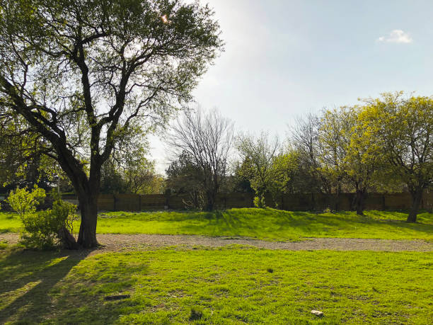 istock Spring weather, sunny sky, flowering trees in the village. 948743440