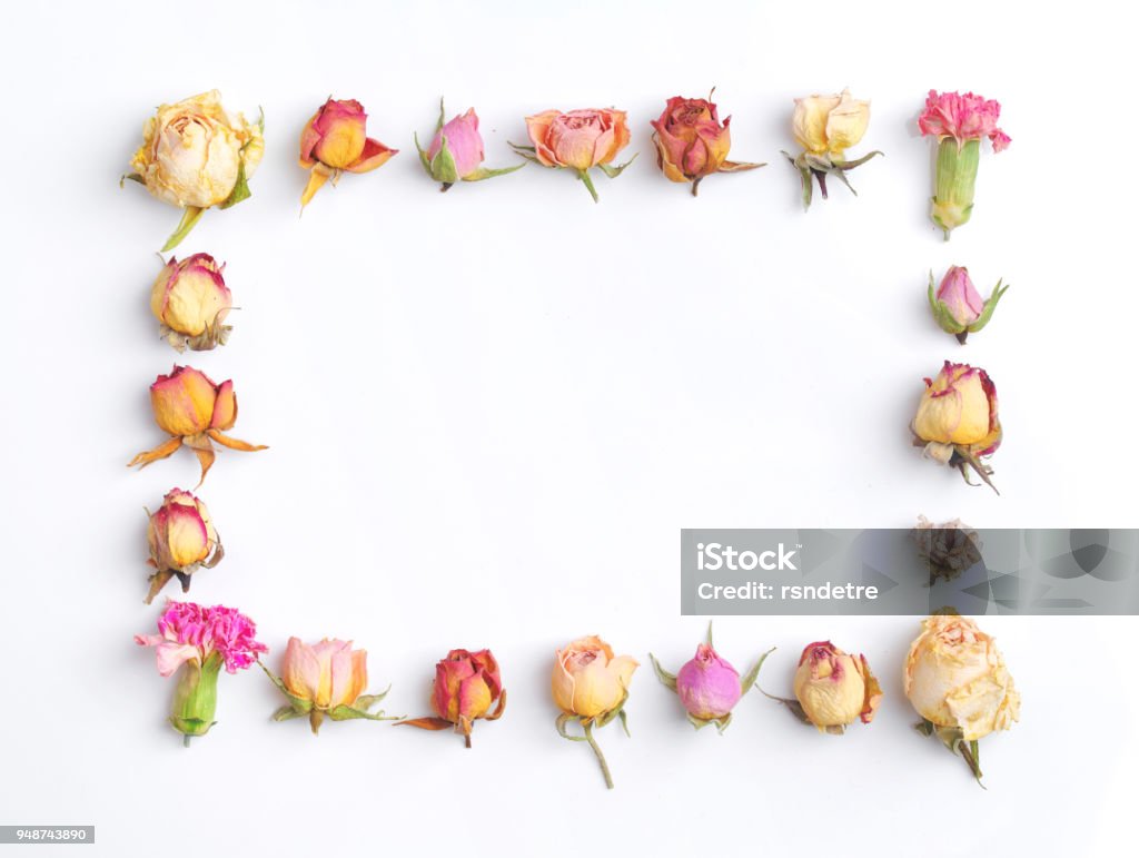 Composición Floral Diseño Creativo Con Flores Rosas Y Violetas Aisladas Sobre Fondo Blanco Marco Cuadrado Con Rosas Capullos Piso En Colores Pastel De Vista Laico Superior Moda Concepto Minimal Foto de stock Composición Floral Diseño Creativo Con Flores Rosas Y Violetas Aisladas Sobre Fondo Blanco Marco Cuadrado Con Rosas Capullos Piso En Colores Pastel De Vista Laico Superior Moda Concepto Minimal Foto de stock