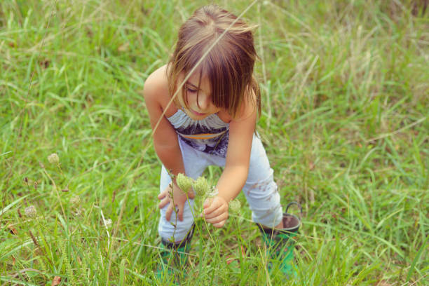 istock Among the Wildflowers 948751758