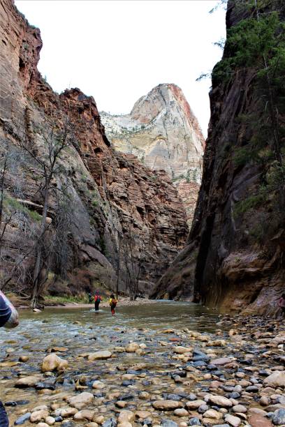 istock Zion National Park 948753184