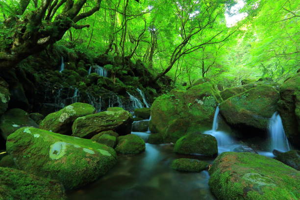 istock Summer former falls underwater water 948756226