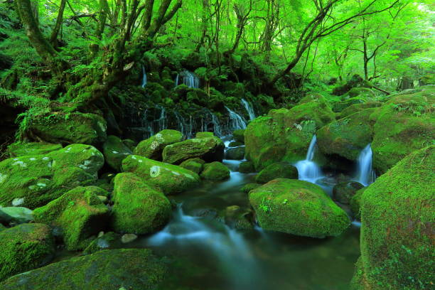 istock Summer former falls underwater water 948764740