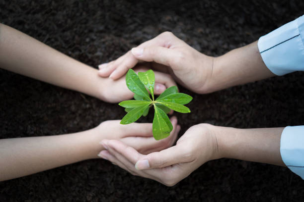 istock People hand group planting a seed in soil agriculture 948770446